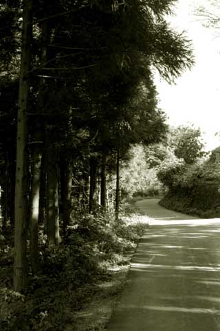 TSUCHI04.JPG - 31,864BYTES